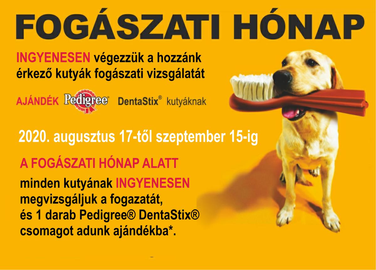 Fogászati hónap Fogászati hónap