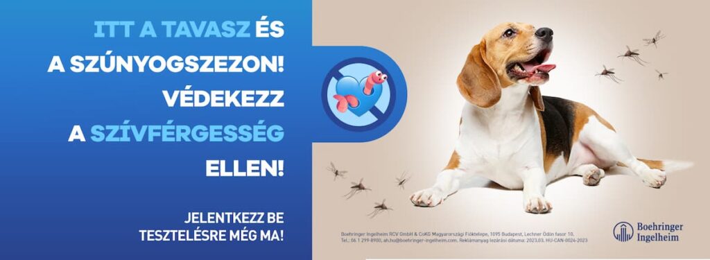 szívféreg szűrés 2026 akció